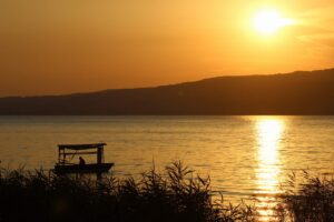 TÜİK verilerine göre Arifiye, Sakarya'nın en hızlı büyüyen ilçesi oldu