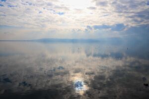 Sapanca Gölü'nde Su Seviyesindeki Artış Ekosistemi Yeniden Canlandırıyor
