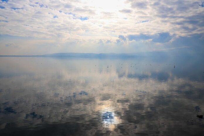 Sapanca Gölü'nde Su Seviyesindeki Artış Ekosistemi Yeniden Canlandırıyor