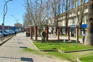 haber, güncel, güncel haberler, T.C. Hendek Belediyesi Resmi İnternet Sitesi