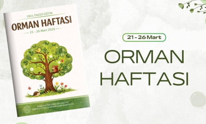 Okul Öncesi Öğretmenlerine Yönelik Orman Haftası Etkinlik Takvimi Hazırlandı