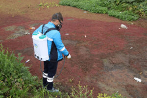 Sakarya’da Sıcaklarla Birlikte Haşere ve Zararlı Vektörlerle Etkin Mücadele Başladı