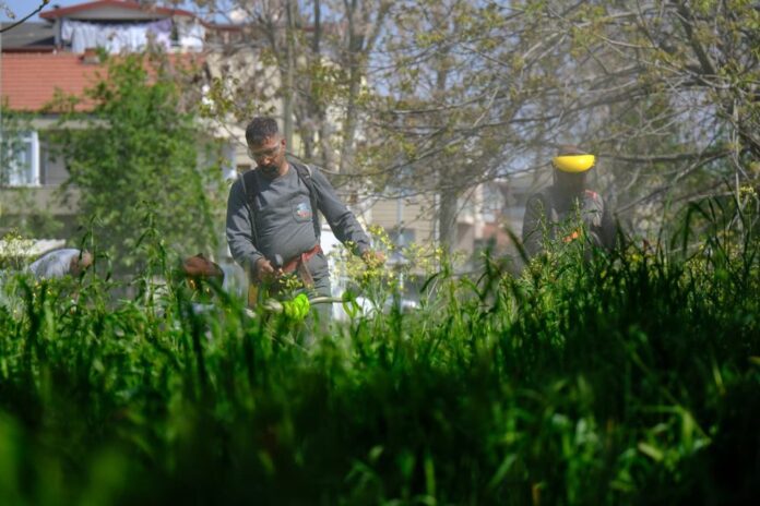 Serdivan Bahçelievler Kirişhane Caddesi’nde Bahar Temizliği ve Bakım Çalışmaları Planlı Şekilde Devam Ediyor